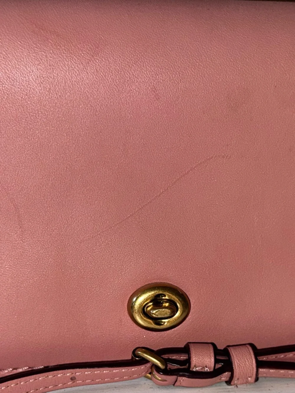 Coach 1941 Dinky Glove tanned Leather Crossbody bag in Pink Oxblood 2018 - 37296